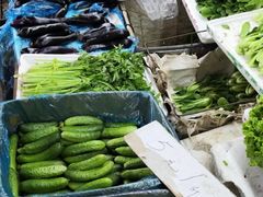 蔬菜-大连熟食品交易中心