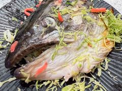 烤三文鱼头-争鲜回转寿司(太阳宫凯德PLUS店)