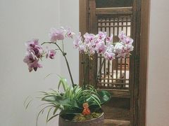 -德迹斋禅意文化茶馆·茶空间·商务洽谈•宴席(桃园店)