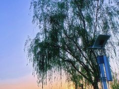 -华山御温泉度假村