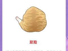 -泰洋动物医院·神经专科·磁共振·CT(天河公园总院)