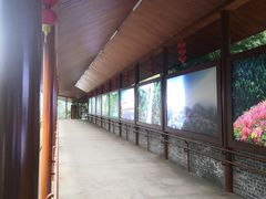 -花溪风景区