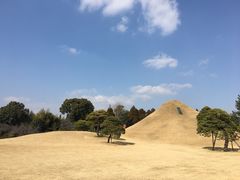 -水前寺成趣园