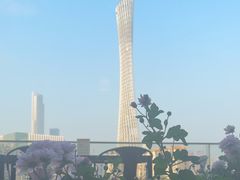 -小茶闲舍·观景商务茶馆(广州塔店)