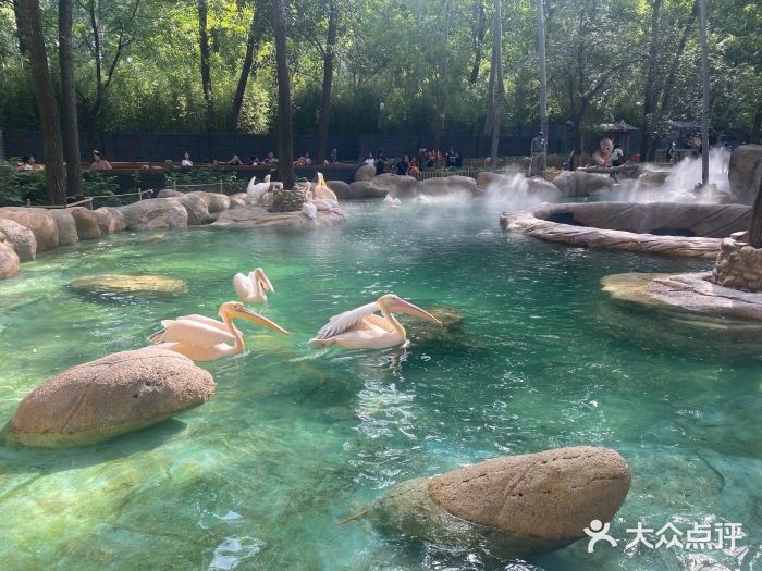 北京野生动物园图片