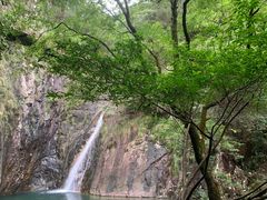 -花岩国家森林公园