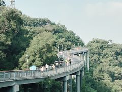 -金鸡山公园