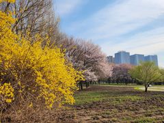 -长春公园(普阳街道)