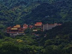 -深圳仙湖植物园