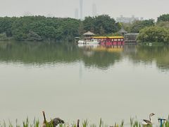 -海珠湖公园