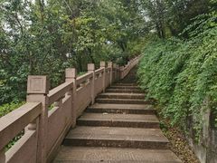 -杭州半山国家森林公园