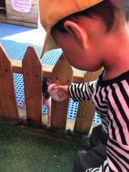 -萌宠亲子动物乐园(槐房万达店)