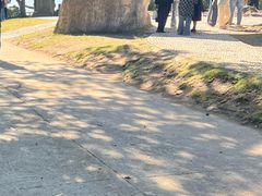 -河姆渡遗址博物馆