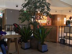 -Ice Monster冰馆·CNN评选全球十大甜品(国贸商城店)