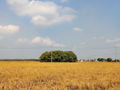 -嘉北郊野公园