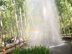 -合肥滨湖国家森林公园