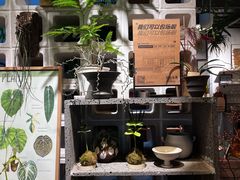 -自由生长植物工作室(深港花卉中心店)