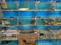 -丰收渔港饭店(嵊泗店)