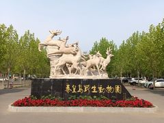 -秦皇岛野生动物园