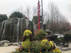 -合肥滨湖国家森林公园