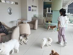 -怪兽屋·羊驼·猫咖·狗咖(俊华广场店)