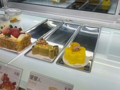 -夏佐CHASEL(横店康庄路店)