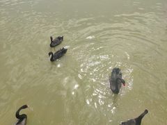 -新疆天山野生动物园