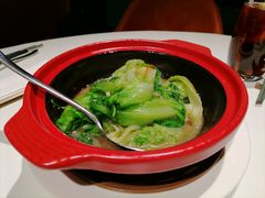啫啫生菜煲-潮民公馆(BFC外滩金融中心店)