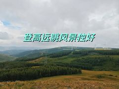 -塞罕坝国家级自然保护区