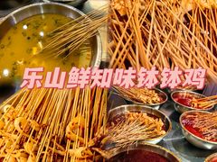 -嘉州鲜知味钵钵鸡(奎星楼店)