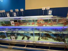 -盒马X会员店(上海森兰商都店)