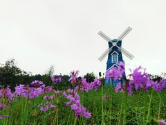 -铁山坪森林公园