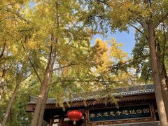 -大慈恩寺(大雁塔)