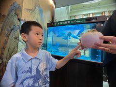 -肆月河豚·淮扬菜·湘菜(华天店)