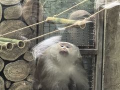 -黔灵山公园-南门售票处