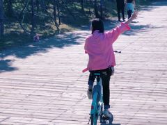 -长白岛森林公园