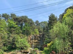 -铁山坪森林公园