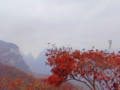 -周口店坡峰岭风景区