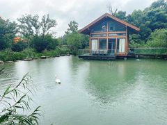 -杭州开元森泊度假乐园