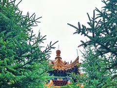 -翠矶山公园