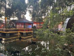 -二荆条·蜀鲜汇城市森林火锅