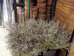 -L.C FLORA花予你(城西银泰城店)