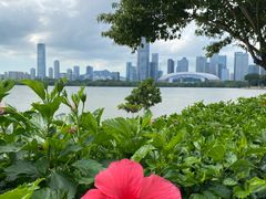 -宝安西湾红树林湿地公园