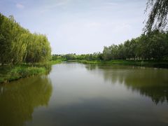-东郊湿地公园