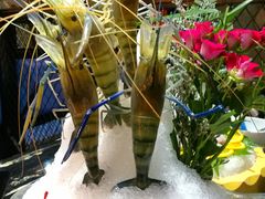 草虾-渔傅·蓝海岸霞浦海鲜(正祥店)