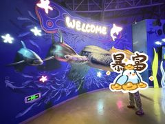 -烟台海昌鲸鲨海洋公园