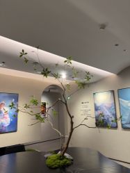 点击看大图 -大树儿童摄影