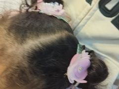 -南沙辉记烧鸡·荔枝木炭火吊烧(旧镇店)