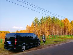 -塞罕坝国家级自然保护区