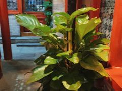 -阿西娅食府(中关村店)